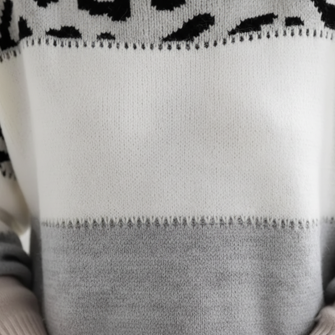 Women's Color Block Leopard Print Sweater